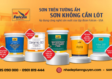 Công ty TNHH Đầu Tư Xây Dựng Tân Nguyên